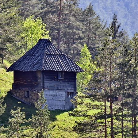 Apartament Sedmica Zlatibor Vip Bogic Zewnętrze zdjęcie