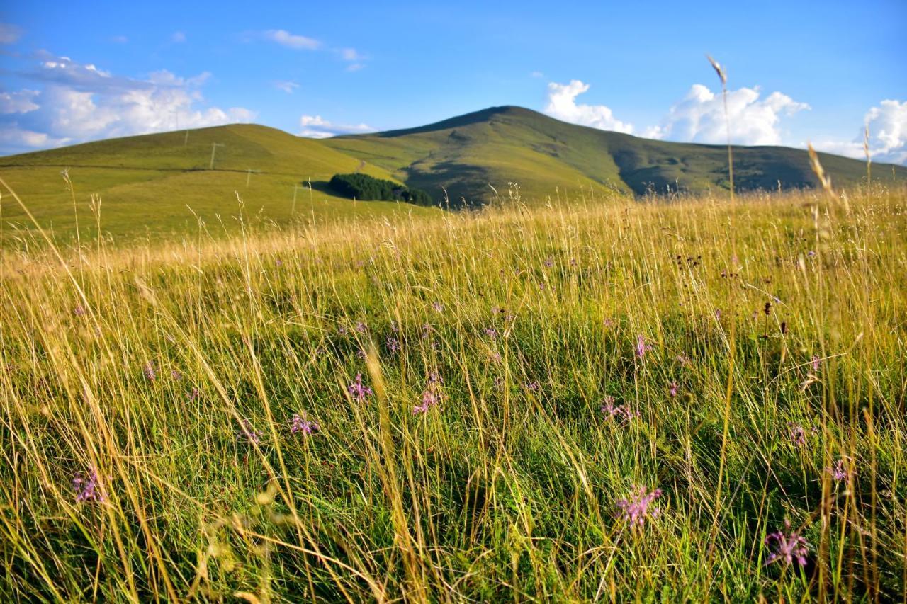 Apartament Sedmica Zlatibor Vip Bogic Zewnętrze zdjęcie