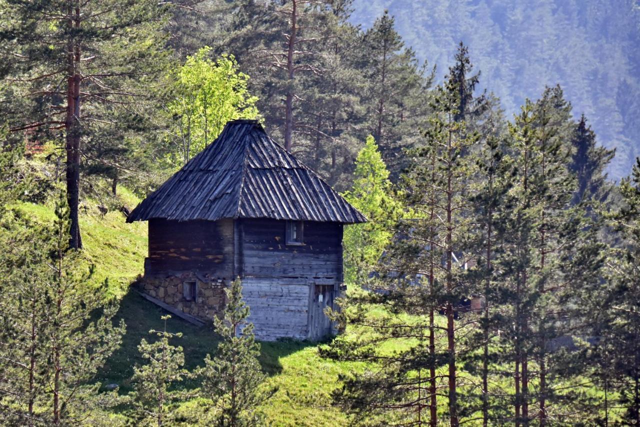 Apartament Sedmica Zlatibor Vip Bogic Zewnętrze zdjęcie